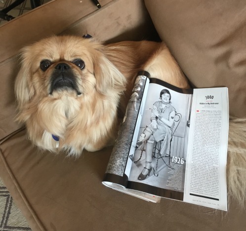 I didn't want to poach the photo from New York's website and I couldn't find an embeddable version on Getty, so here's Edward the dog posing with the magazine. Click this photo and scroll down to view the original.