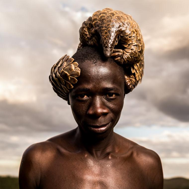 Pangolin on head photograph by Adrian Steirn