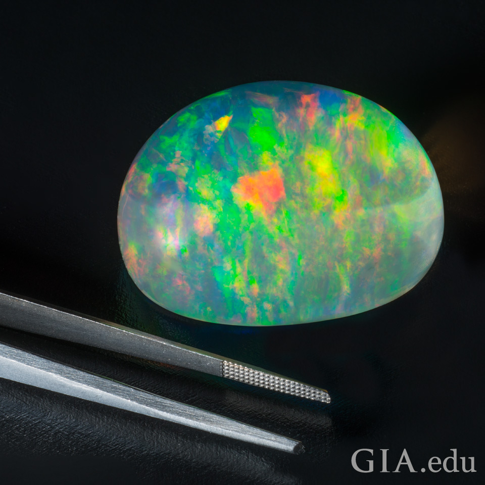 264.44 ct opal